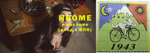 стаф Алзамай