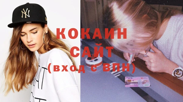 стаф Алзамай