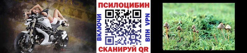 Купить закладки  Меленки  Псилоцибиновые грибы Psilocybe 